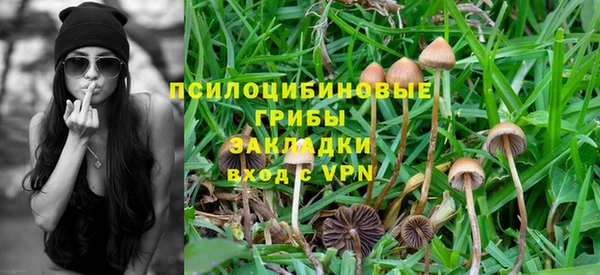 соль ск Алексеевка