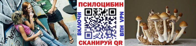 как найти   Биробиджан  Галлюциногенные грибы GOLDEN TEACHER 