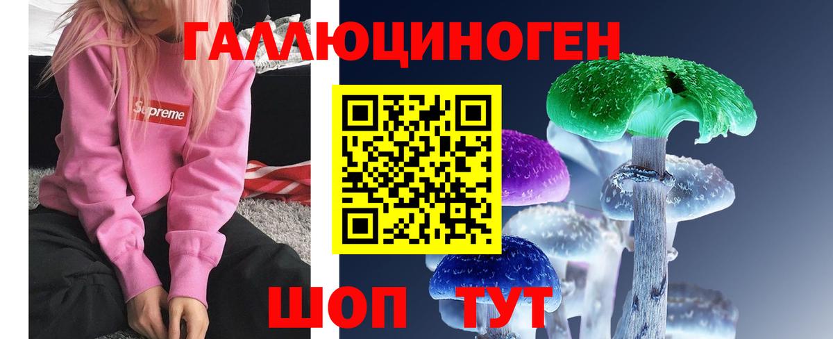 Галлюциногенные грибы мицелий  Вход с VPN  Биробиджан  Галлюциногенные грибы GOLDEN TEACHER 